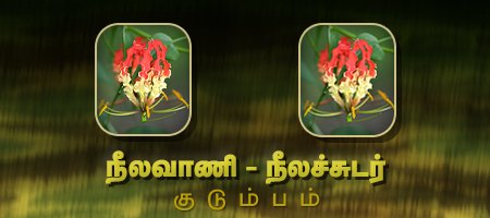 நீலவாணி - நீலச்சுடர்