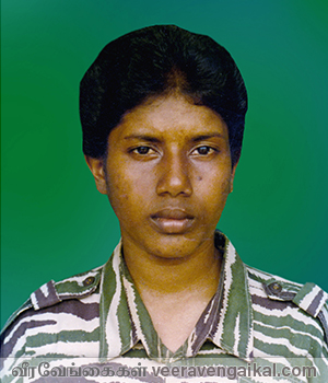 பொழில்